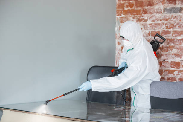 Best Crawl Space Mold Remediation  in Yaphank, NY